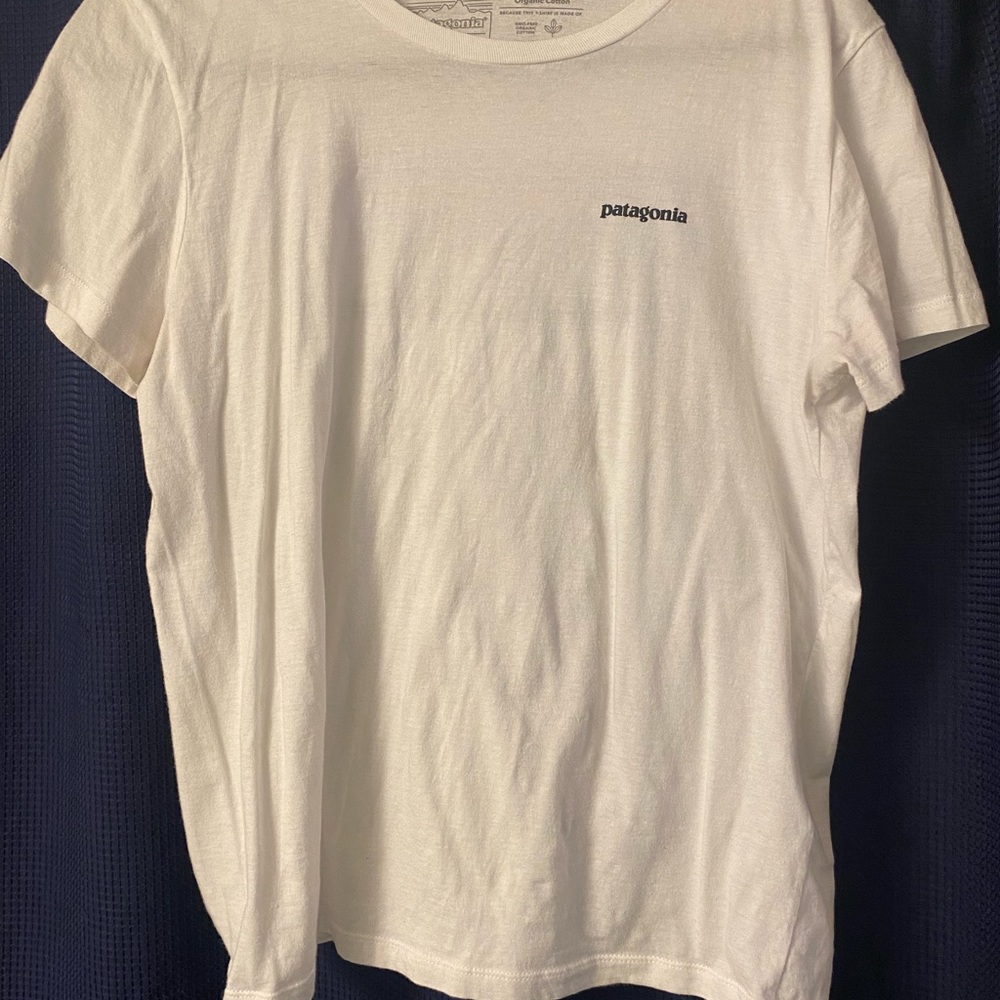 Patagonia tshirt
